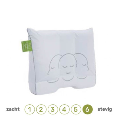 Silvana Support® Royale Groen